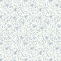 dsSTELLA-DCJ3493 EGRET